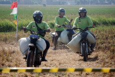 Balap Motor Ojek Gabah...