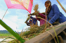 Jaga Stabilitas Harga,...