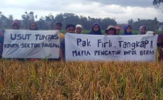 Kecewa dengan Impor...