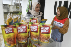 Pertamina EP Donggi...