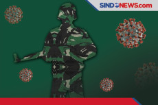 Panglima TNI Sebut Ada...