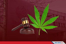 PBB Hapus Ganja dari...