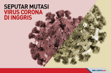 Seputar Mutasi Virus...