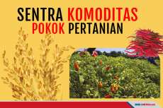 Pemerintah Harus Antisipasi...