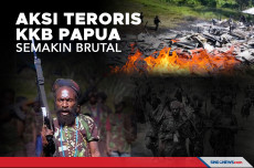 Teroris KKB Papua Bakar...