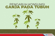 Efek Pengaruh Konsumsi...
