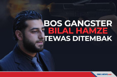 Bos Gangster Australia...