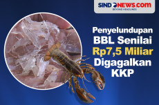 Penyelundupan Benih...