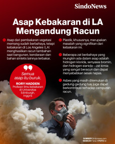 Asap Kebakaran di Los...
