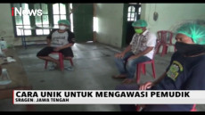 Bandel Tetap Mudik,...