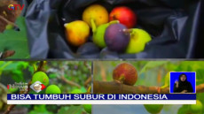 Perawatan Mudah, Ini...