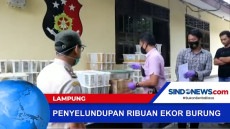 Polisi Gagalkan Penyelundupan...