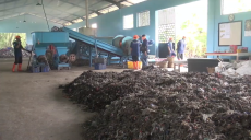 Pemkot Tegal Dirikan...