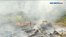 Lahan Gambut Terbakar