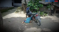 Bocah Gemar Hirup Aroma...