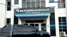 Server Diretas, Layanan...
