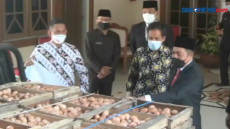 Peternak Ayam Sumbang...