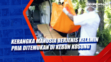 Kerangka Manusia Berjenis...