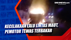 Kecelakaan Lalu Lintas...