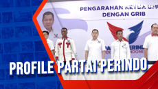Profile Partai Perindo