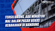 Terselubung, Ada Miniatur...