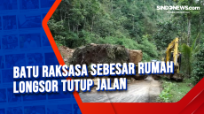 Batu Raksasa Sebesar...