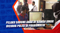 Pelaku Sodomi Anak di...
