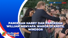 Pangeran Harry dan Pangeran...
