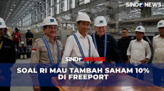 Soal RI Mau Tambah Saham...