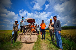 Di Tengah Pandemi, Petani OKI Siap Suplai Beras dari Lahan Serasi