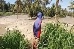 Sungai Bila Meluap, Ratusan Hektare Tanaman Palawija Rusak