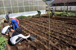 Antisipasi Pasca Pandemi, Kementan Siapkan SDM Pertanian Bertarung di Dunia Usaha