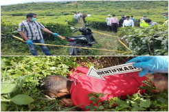 Mayat di Kebun Teh Kayuaro, Ternyata Dibunuh Kekasih Gelapnya