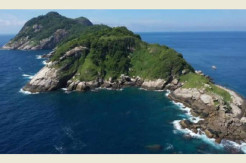 Ular yang Memangsa Ular Hidup di Pulau Paling Mematikan Ini