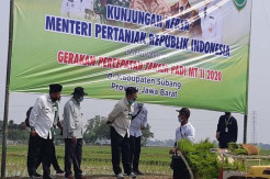 Mentan RI Genjot Penanaman Padi di Lahan Seluas 5,6 Juta Hektare