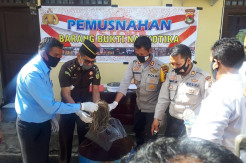 Polres Bima Musnahkan 727,5 Gram BB Ganja Hasil Sitaan