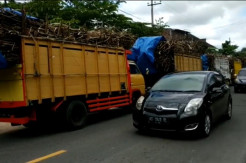 Antrean Truk Masuk Pabrik Gula Mengular, Jalur Blitar-Malang Macet