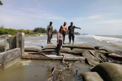 Gawat Penurunan Muka Tanah di Pesisir Pekalongan Capai 20 Cm Pertahun