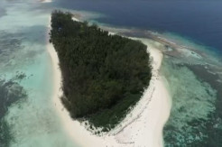 Pulau Malamber Dijual Rp2 Miliar, Ini Kata Raja Pemilik Lahan