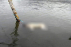Mayat Bayi Ditemukan Mengapung di Sungai Batang Merao Kerinci Jambi