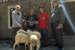 Terima Kasih Sekali Pak, Saya Belum Pernah Punya Kambing