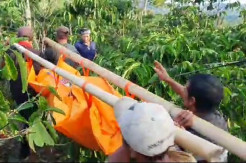 Ngeri, Suami di Lampung Barat Habisi Istri dan Anak Kandung di Kebun Kopi