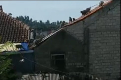 Kawanan Monyet Turun Gunung, Rusak Atap Rumah Warga di Lembang