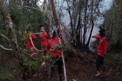 Manggala Agni Daops Banyuasin Siagakan 3 Unit Alat Pemadam