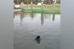 Maling Apes, Direndam di Kolam Usai Tepergok Bobol Kotak Amal Masjid