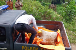 Diduga Dibunuh, Mayat Pria Dibungkus Karung Tersangkut di Sungai Permina