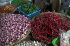 Pasokan Melimpah, Harga Sejumlah Sayuran di Kendal Anjlok