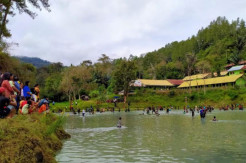 Hasil Panen Melimpah, Masyarakat Makale Selatan Gelar Pesta Rakyat Mebale