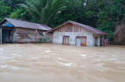 Banjir, Ratusan Warga Desa Tanjung Lay Dievakuasi ke Masjid