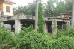 Mangkrak, Wisma Pemda Tana Toraja Kini Jadi Tempat Tanaman Liar